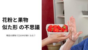 果物アレルギー