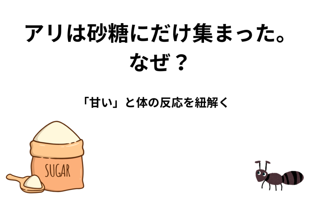 アリと砂糖
