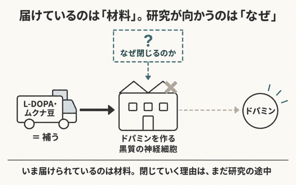 材料となぜ